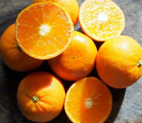 Clementine Tangerine