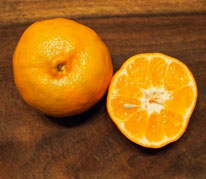 Honey Tangerine