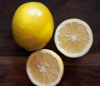 Improved Meyer Lemon Dwarf