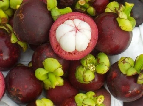 Mangosteen