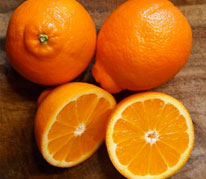Minneola Tangelo
