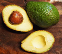 Murashige Avocado