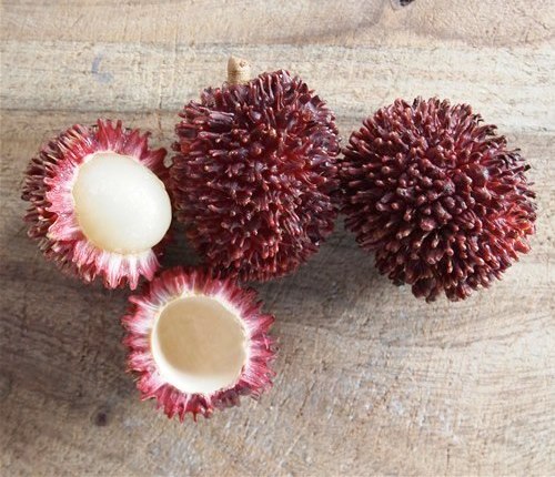 Pulasan