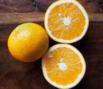 Valencia Orange
