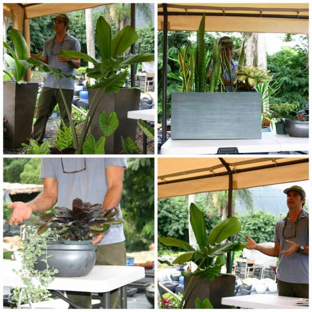 The Art of Container Garden Design