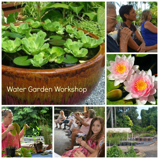 Water Garden Party
