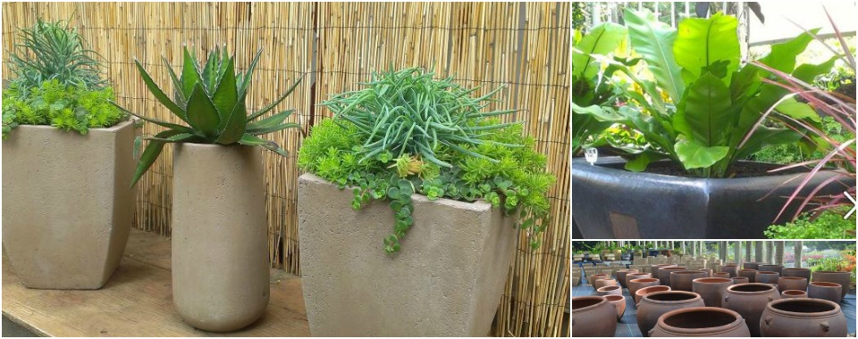 Pots in all shapes, sizes, textures, and colors.