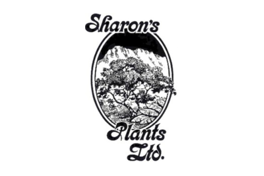 Shraon's Plants